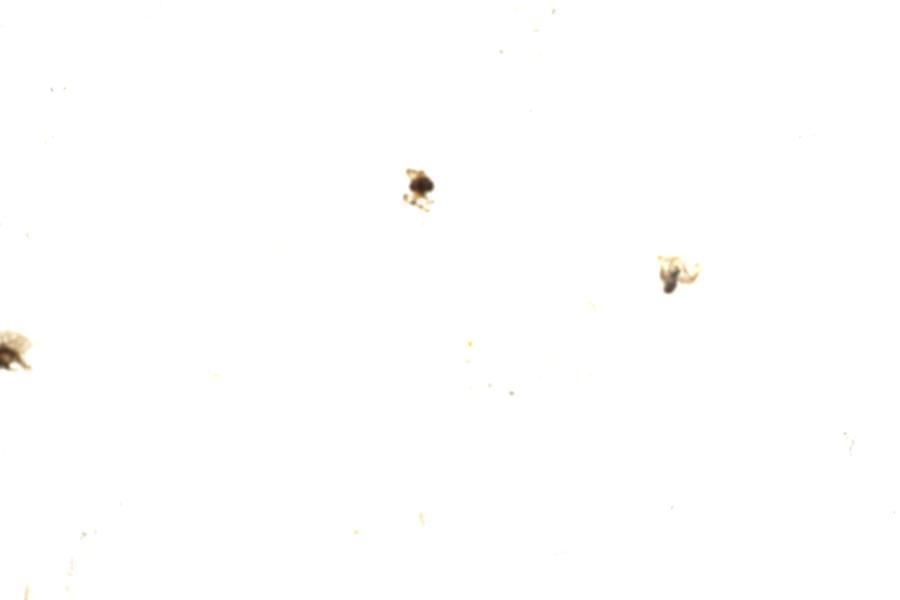 Image 111